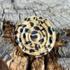 ANILLO ACERO ANIMAL PRINT