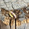ANILLO ACERO