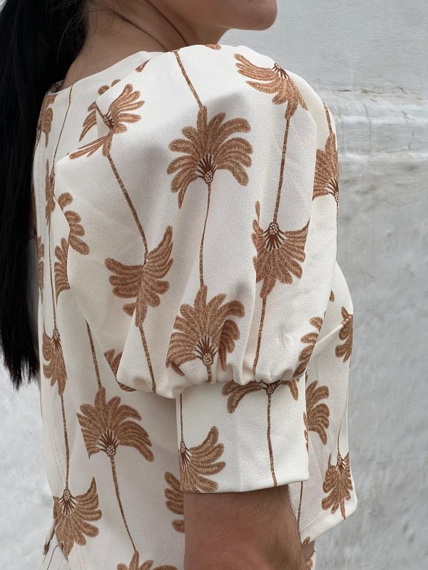 CONJUNTO PALMERAS - Imagen 2